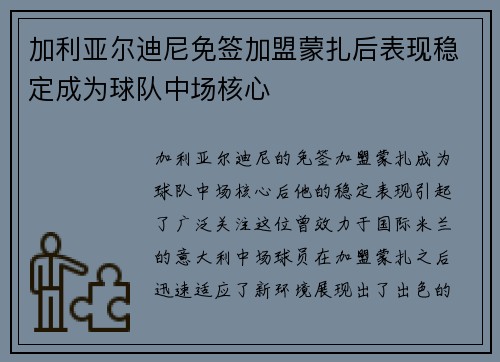 加利亚尔迪尼免签加盟蒙扎后表现稳定成为球队中场核心